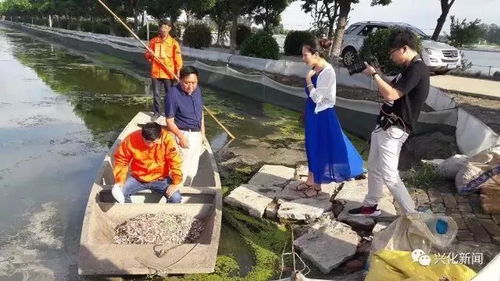 從央視到國家農(nóng)業(yè)機構(gòu)點贊 通威魚、海大魚、白蕉海鱸、興化大閘蟹，誰更勝一籌？